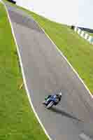 Blue Bikes